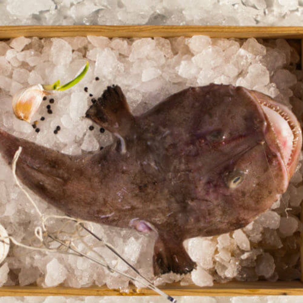 Rana pescatrice pugliese fresca 1 kg Rana pescatrice pugliese fresca 1 kg